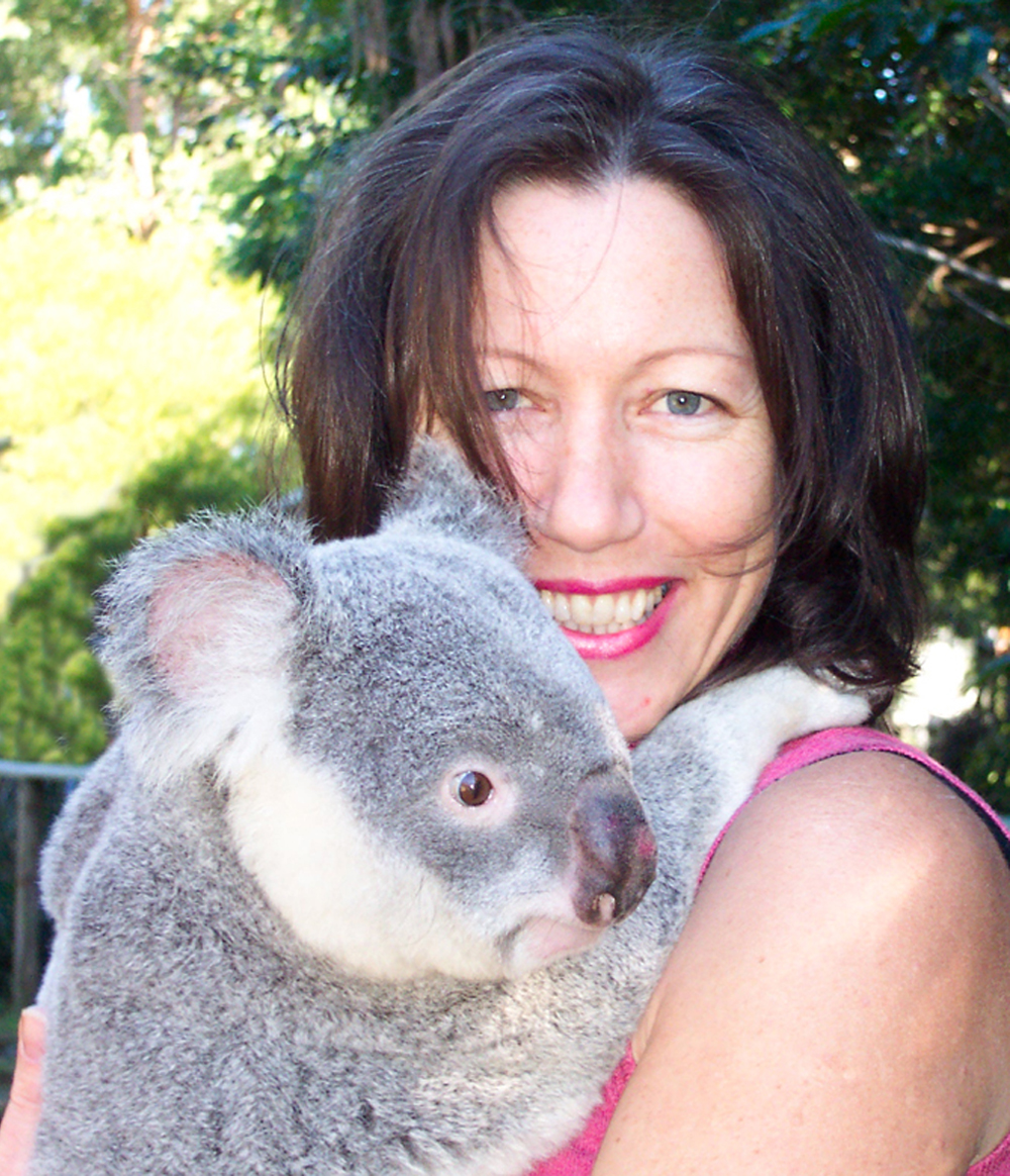 jane mathers koala australian koala foundation