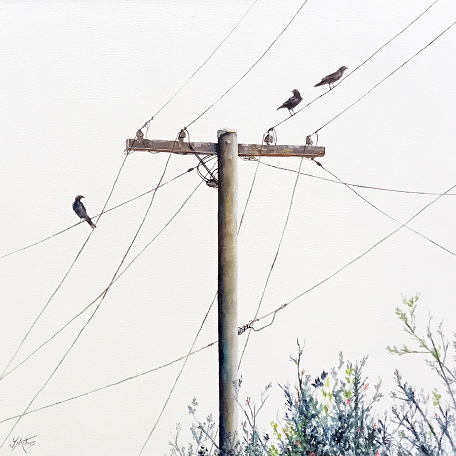 jane mathers crows brisbane painting