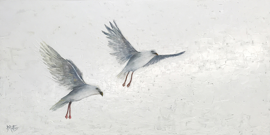 seagulls by jane mathers brisbane artist