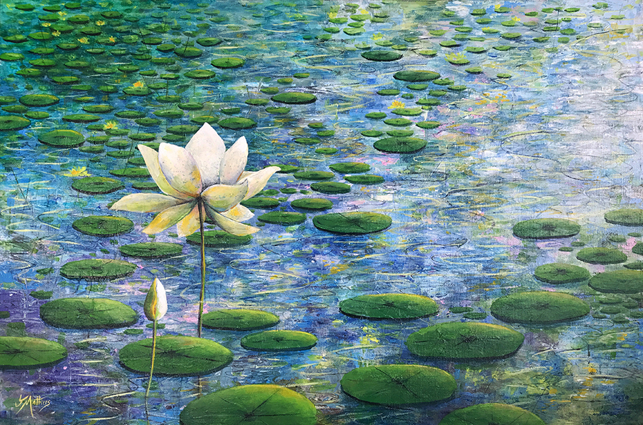 water lilies by jane mathers brisbane artist