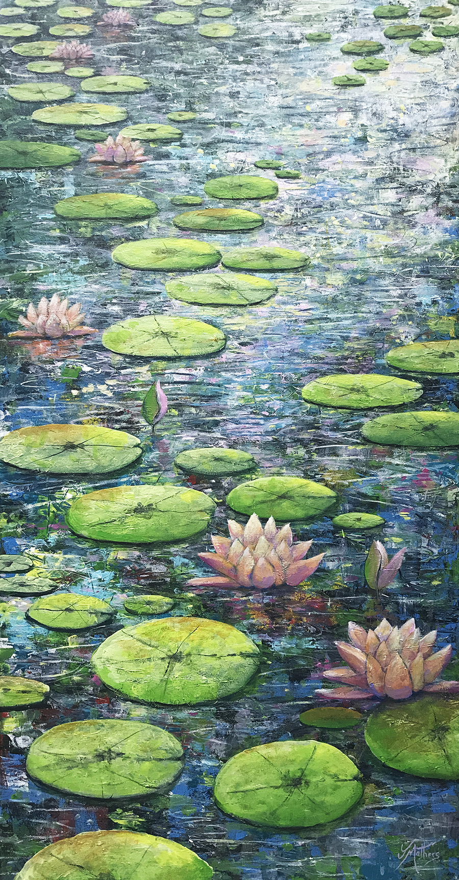 water lilies by jane mathers brisbane artist