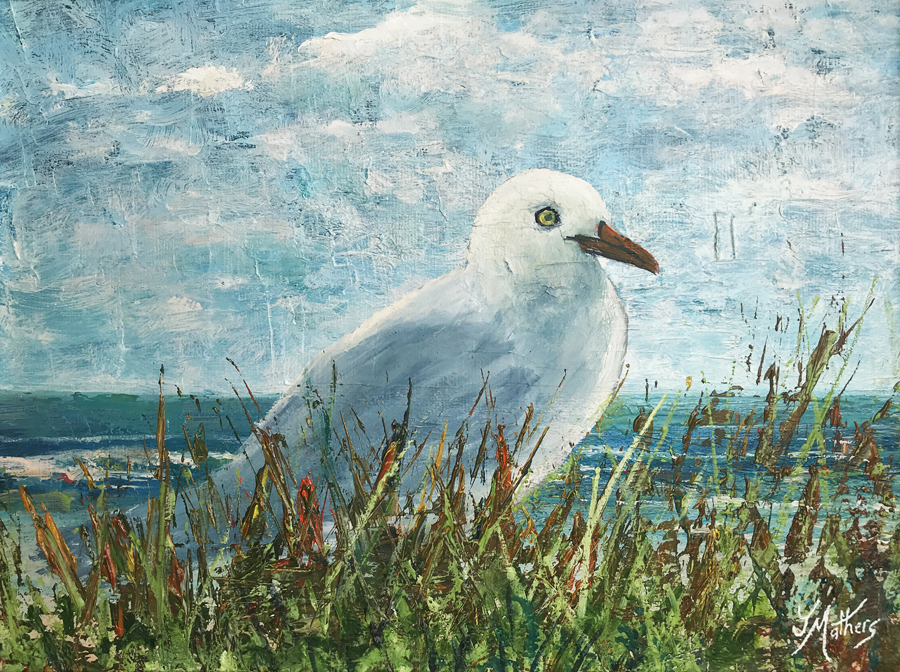 seagull by the sea by jane mathers