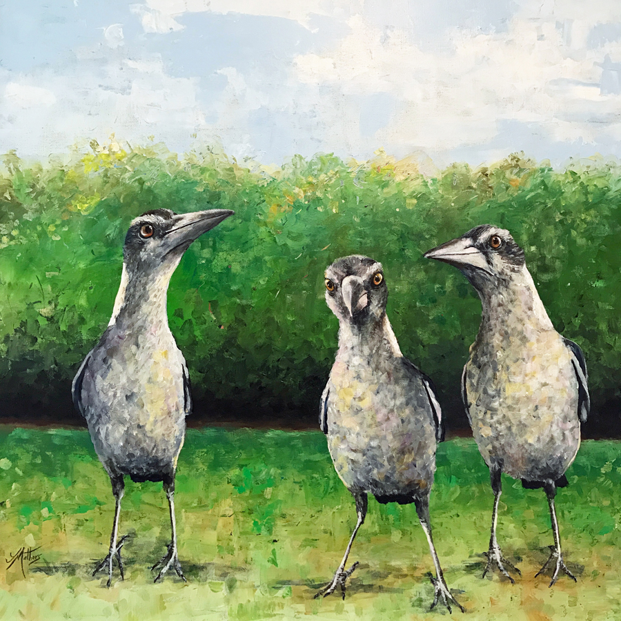 magpies by jane mathers