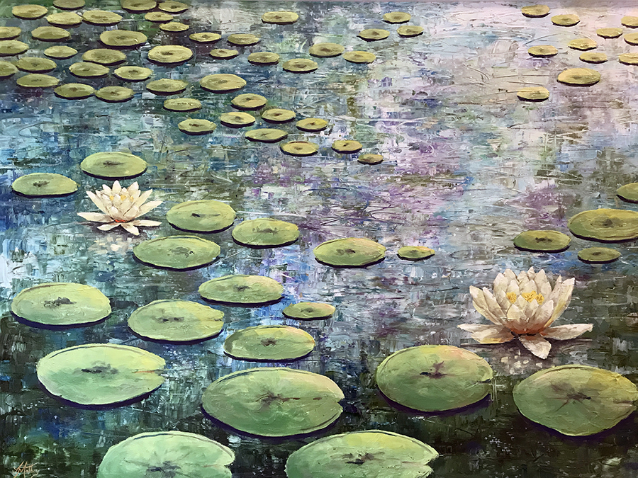 water lilies by jane mathers brisbane artist