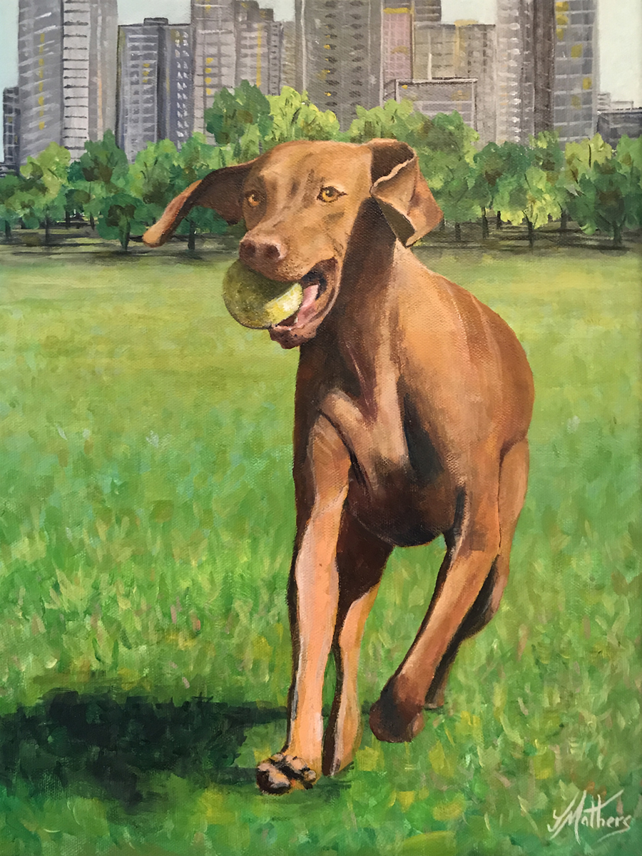 gracie the dog painting by jane mathers pet portrait