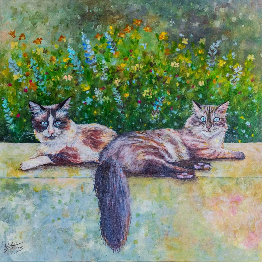 ragdoll cats by jane mathers art