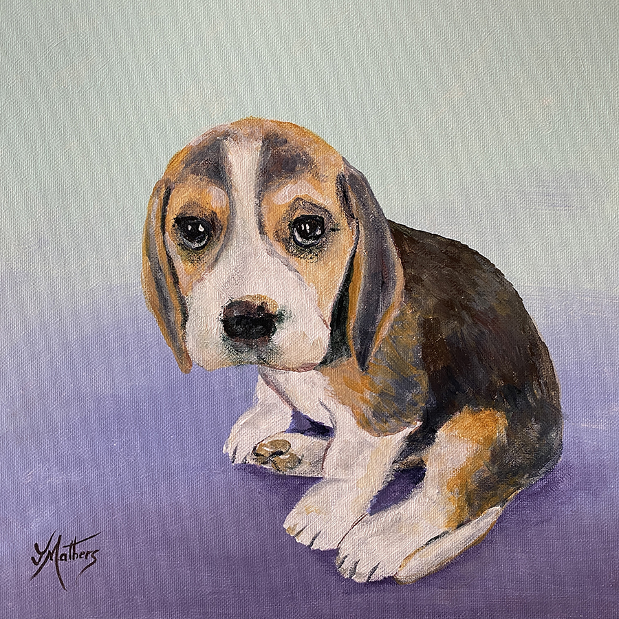 sam the dog by jane mathers art