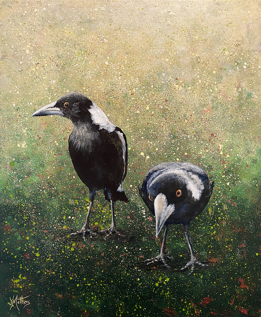 intredpid explorers - magpies - by jane mathers art